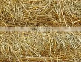 wood charcoal carbonization furnace hard wood charcoal