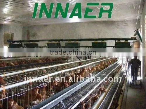 Poultry layers/broilers automatic feeding system