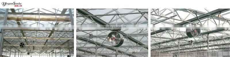 DJF(g) series Greenhouse Small Air Circulation Fan with CE