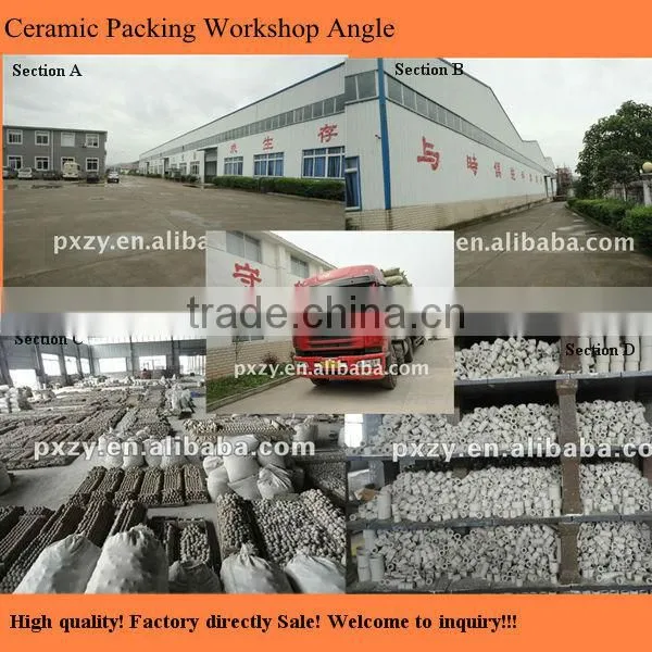 High Quality&Acid, alkali resistance Ceramic Intalox saddles
