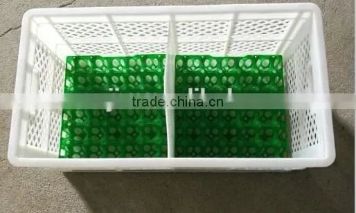 high quality 30 hole plastic chicken egg packing tray