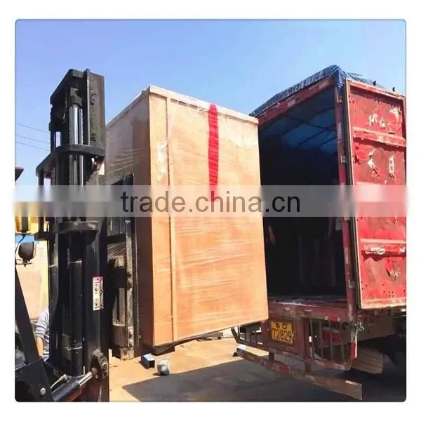 CSPS 2016 most popular wood pellet packing machine