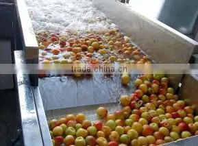 apple chips production line