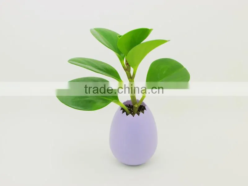 No drainage eco-friendly oil coating 9 color flower pots wholesale