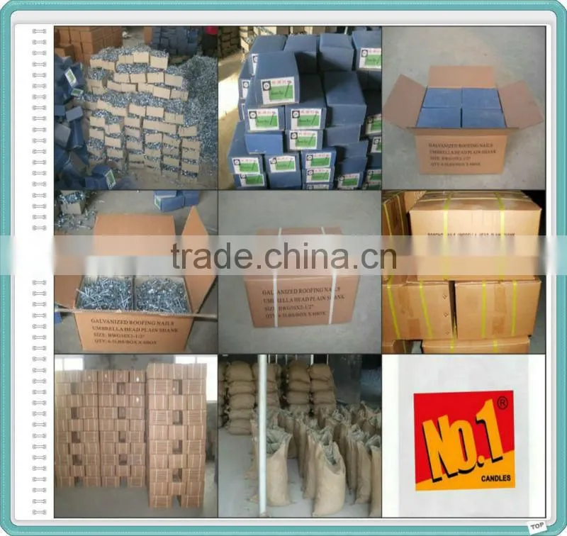 China Steel Roofing Nail
