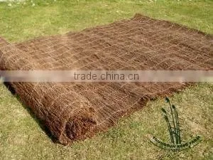 brushwood fences