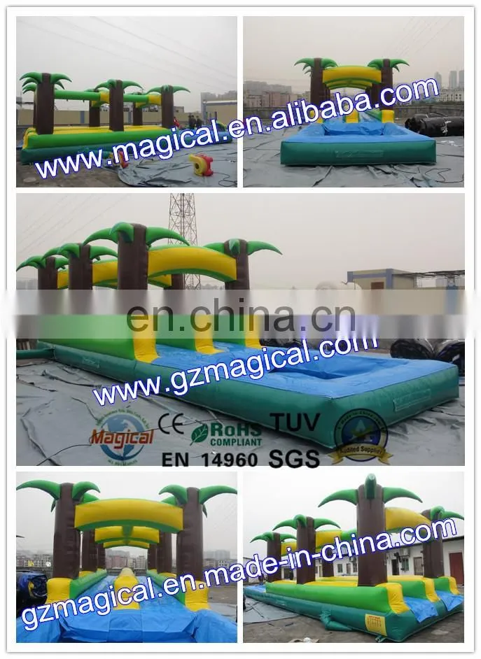 Outdoor Custom Adult Giant Inflatable Double Lane Slip Slide