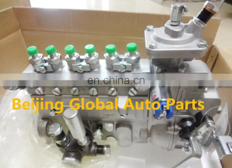 BYC Iinjection Pump 10402376174 10 402 376 174 CPES6AD100D320RS2183 Injection Pump