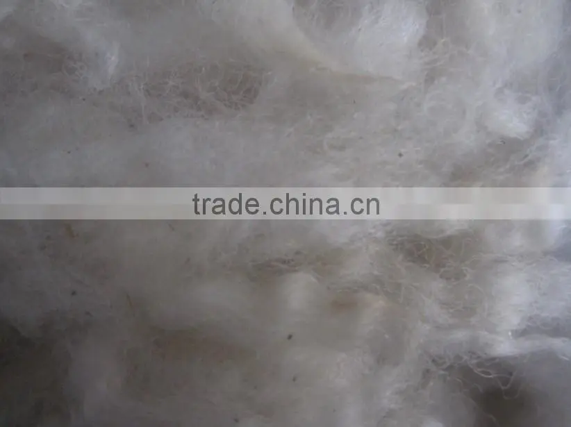 Tannery factory Scoured Australia wool