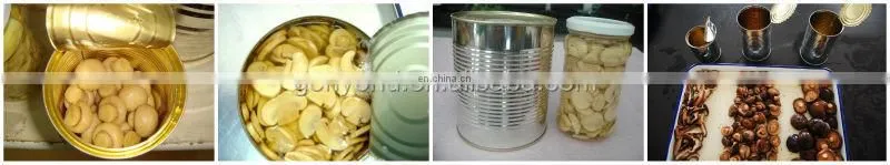 canned mushroom production line
