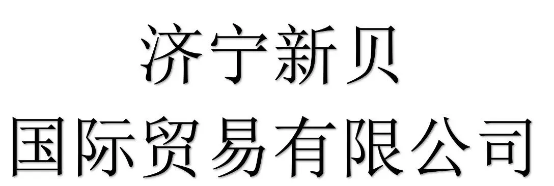 Jining Xinbei International Trading Co., Ltd company overview - view 1