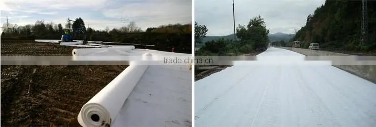 Geotextile Fabric Polyester Nonwoven for roads and highways