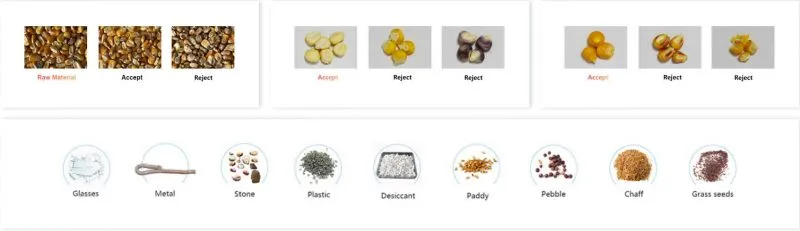 Ccd Cereal Color Sorter Wholesale Color Sorting Machine Corn Peanut Beans Seeds Nuts Tea Color Sorter optical sorter