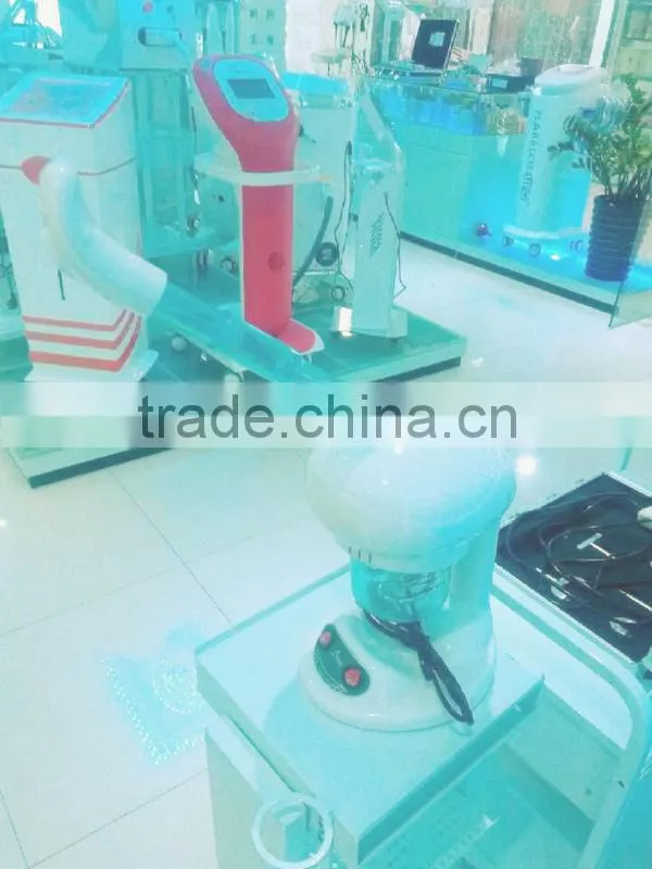 VY-168 Portable Spa Facial Sauna Steamer(CE approval)