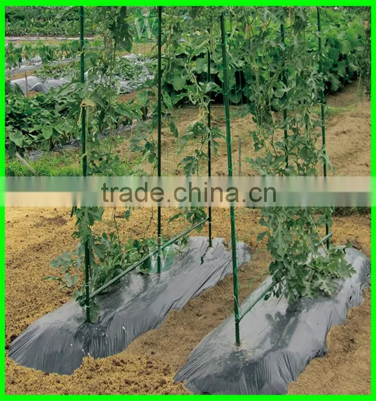 SUPER wire mesh back support for growing plants climbing plant support mesh