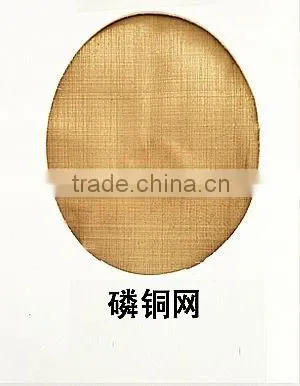 Phosphor Copper Wire Mesh