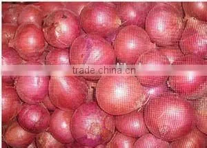 green onion