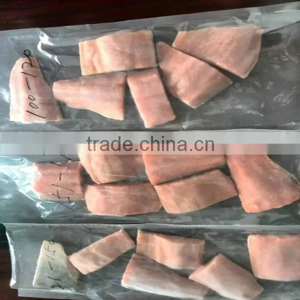 Fresh Atlantic Salmon Fish Frozen