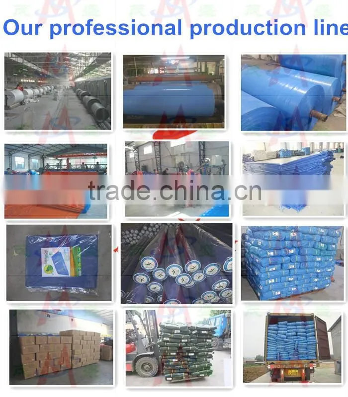 China Tarpaulin roll exported to Japan 3.6x5.4