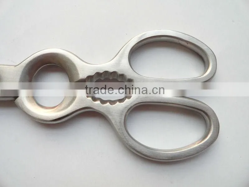 Stainless Steel Scissors