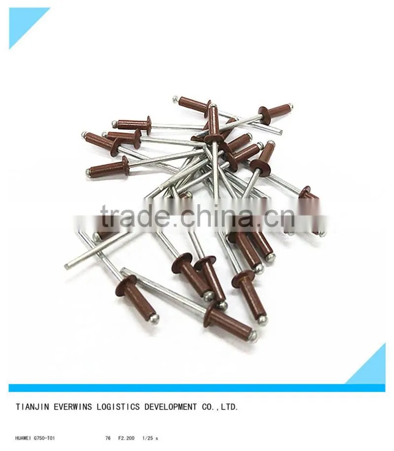 Brown color Rivet