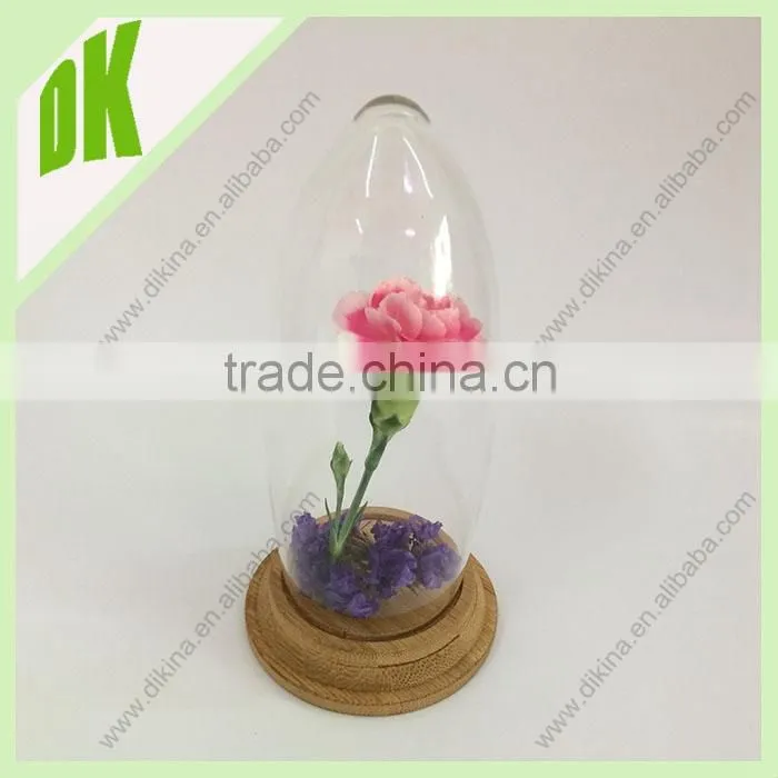 Vintage Laboratory Glass Experiment Dome Cover-Science // Hand blown Glass garden bell cloche Science Plant dome Cover Terrarium