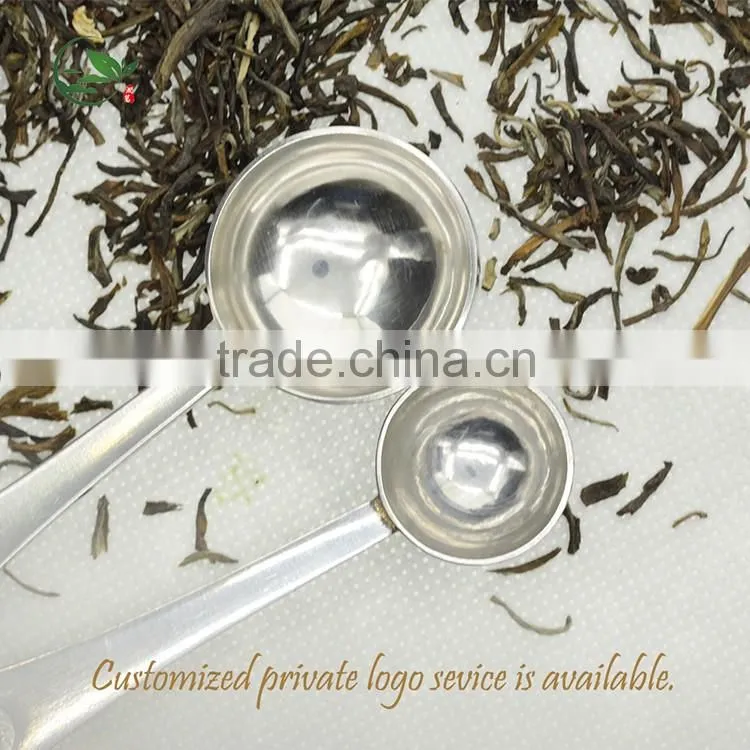 Custom Logo Protein Powder Scoop Stainless Steel Coffee Measuring Spoon