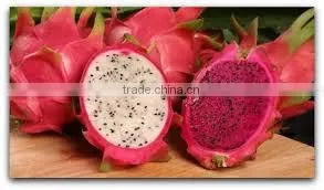 100% Natural Fresh Dragon Fruit from Vietnam-Ms Ha 84974258938