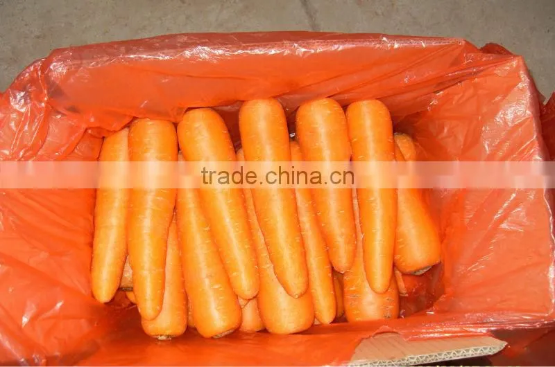 2014 Fresh Carrots