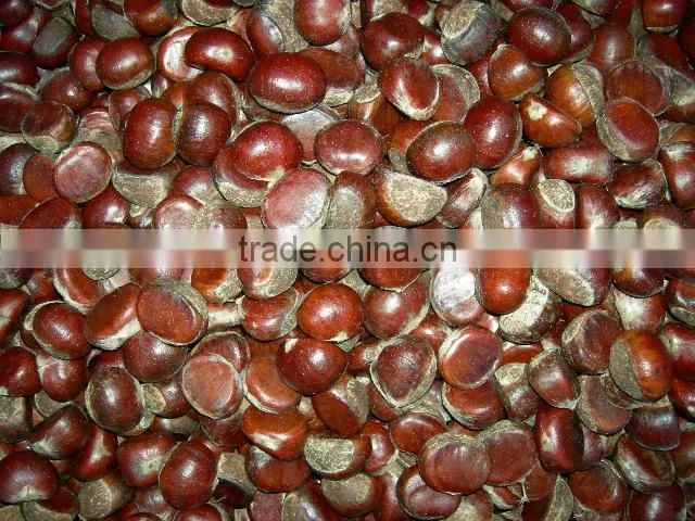 New crop fresh chestnut top quality for sale