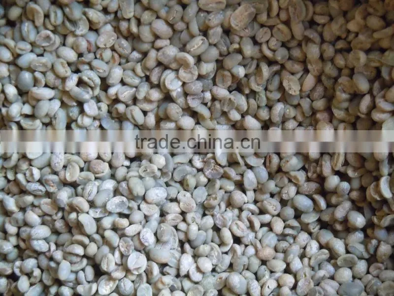 GMO arabica coffee bean price