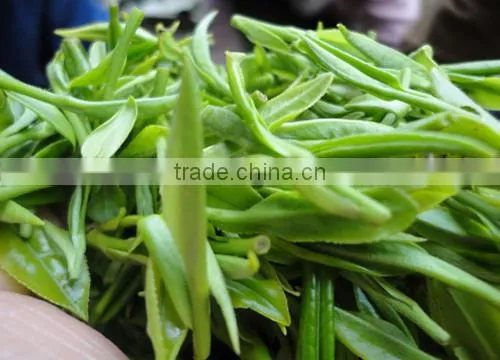 Grade AAA of Huangshan MaoFeng Green Tea