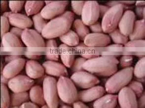 Automatic groundpeanut kernel sorting grading machine
