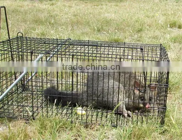 Cheap Galvanized Steel Mouse Trap Cage