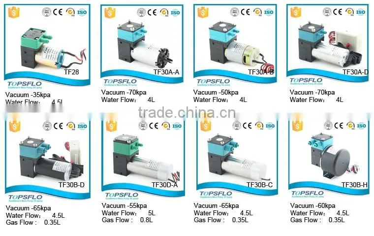 High Performance Liquid DC Diaphragm Water Pump