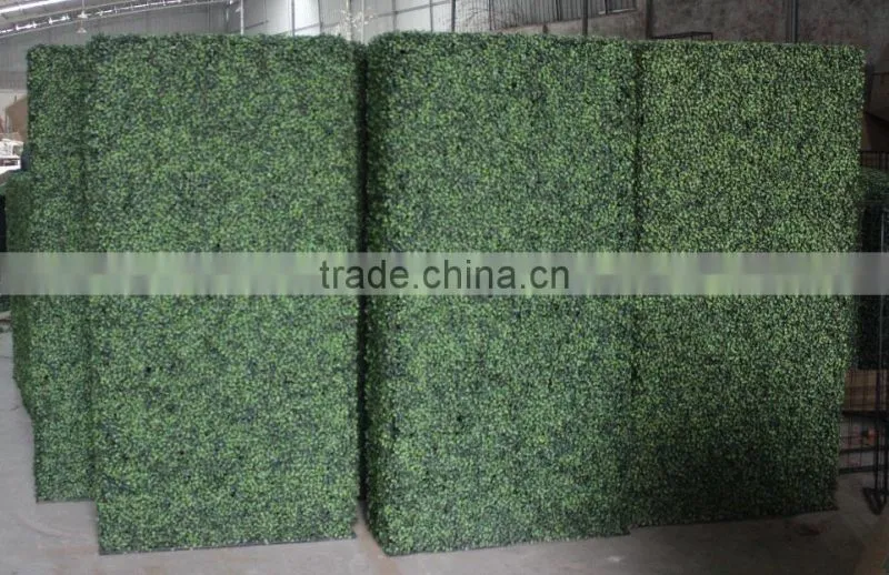 2017 hot sale ornamental plants artificial boxwood hedge hot sale artificial green wall