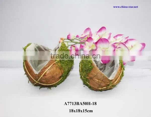 round coco planters with moss