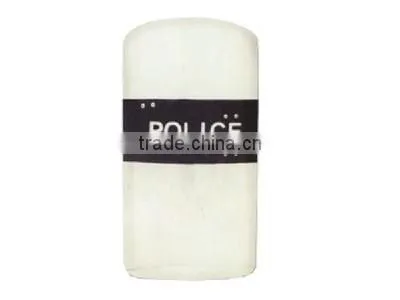 The PC Square Anti-riot shield Transparant shield