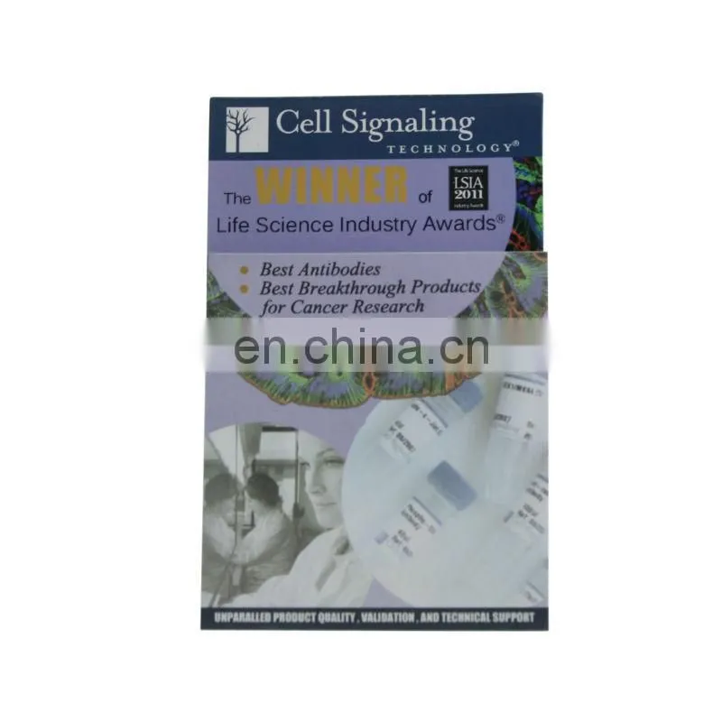 oem design good promotional gift fridge magnet note pad