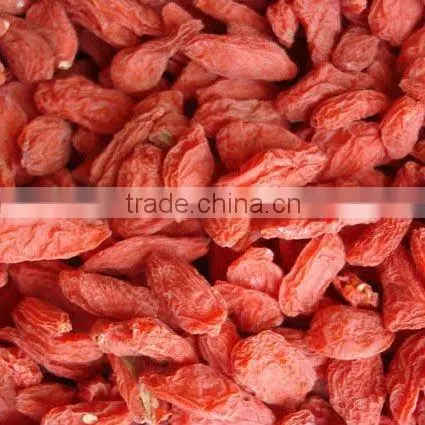 Organic Dried Goji Berry