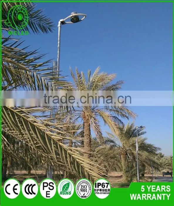 bridgelux chip COB light source low power Led street light