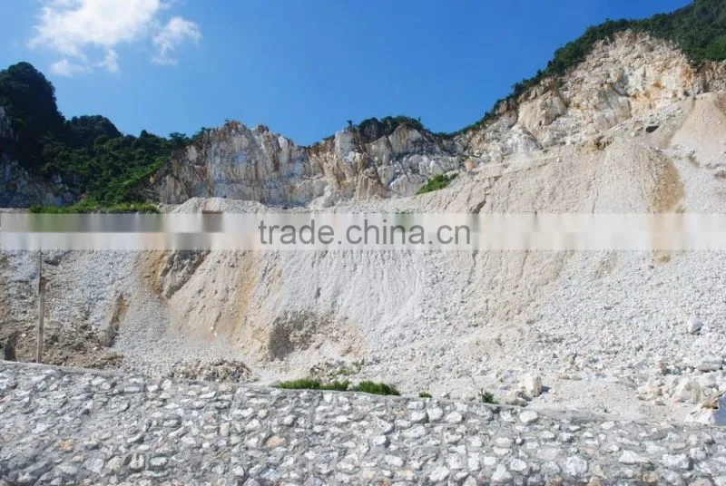 Super fine CaCO3 powder, limestone 99% CaCO3 the purest in Vietnam for paint, plastics, rubber, paper making//s/
