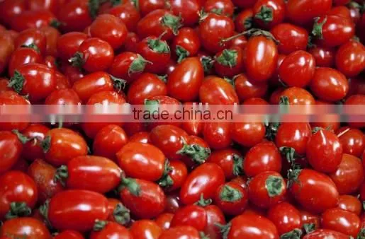 High efficient fruit and vegetable sorting machine