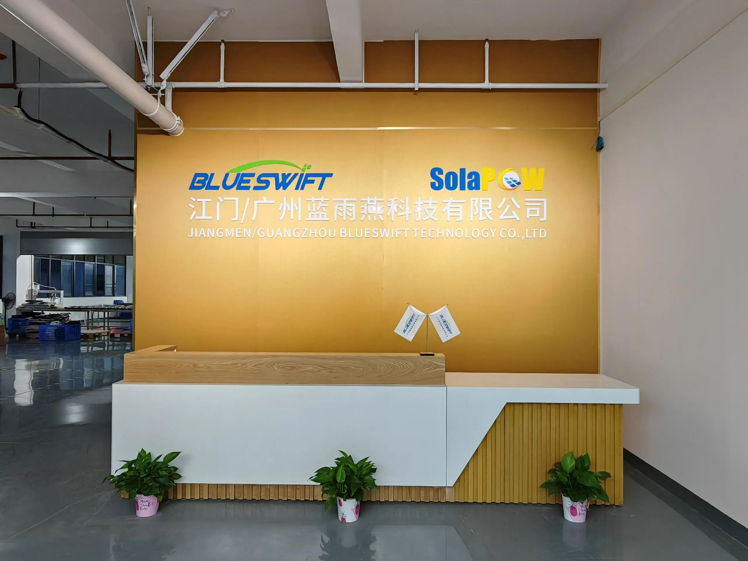 Guangzhou Blueswift Electric Co.,ltd company overview - view 1