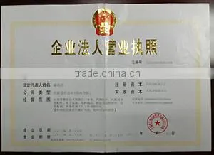 Shanghai Waystar Auto Parts Co., Ltd. company overview - view 2