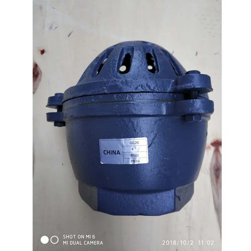 bsfv-03.jpg.webp