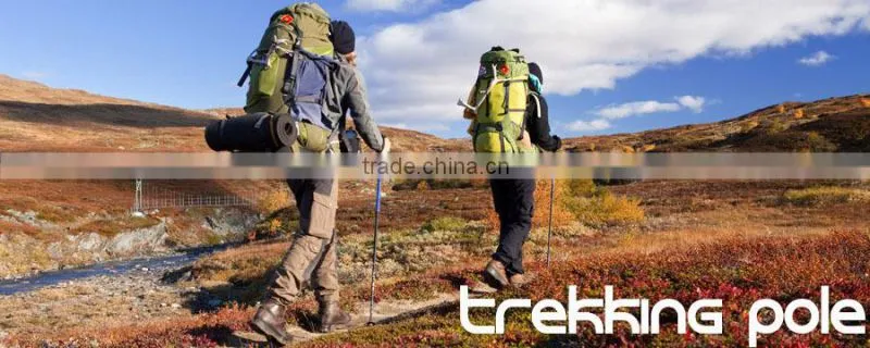 Four Pack of Extra Durable Rubber Replacement Tips for Trekking Poles