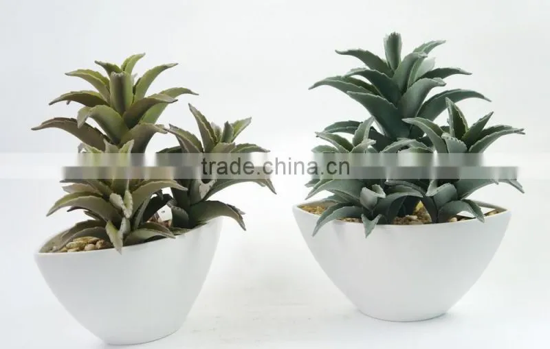 Environmental Artificial Aloe Bonsai For Decoration