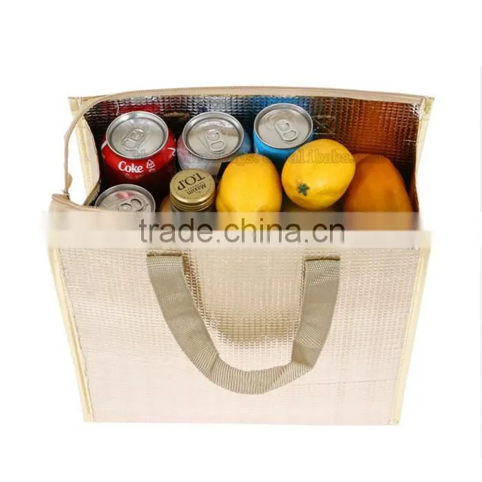 Super Price Super Quality Food Suitcase Cooler Bag