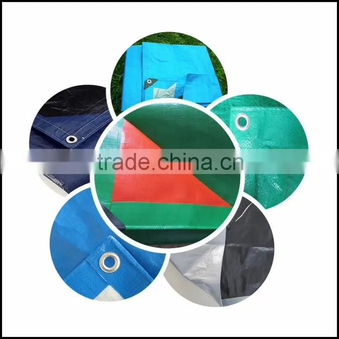 lightduty cheap pp tarpaulin export to pakistan